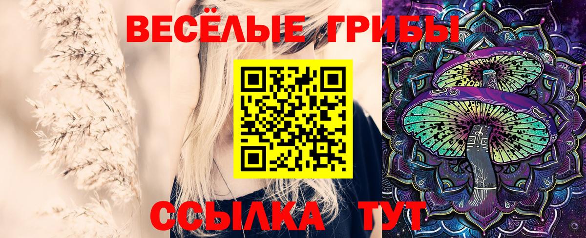 Симферополь  Галлюциногенные грибы ЛСД  Вход с VPN 